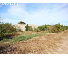 Se vende finca de 6.000 m2 situada en el término municipal de San Miguel de