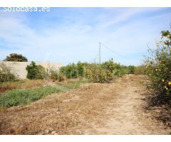 Se vende finca de 6.000 m2 situada en el término municipal de San Miguel de