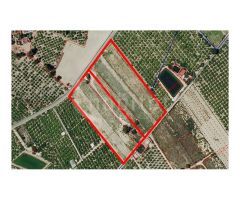 A la venta suelo rústico con 10.000m2 en el término municipal de Rojales,