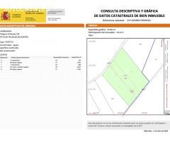 A la venta suelo rústico con 10.000m2 en el término municipal de Rojales,