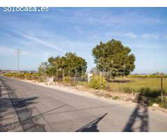 A la venta suelo rústico con 10.000m2 en el término municipal de Rojales,
