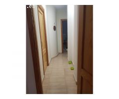 PIS_753