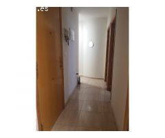 PIS_753