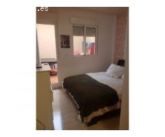 PIS_753