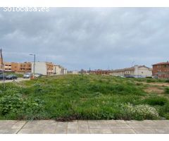 PARCELAS EN VENTA EN MARCHAMALO