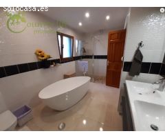 IZNATE (IZN003): VILLA LAS TORRES - IMPRESIONANTE PROPIEDAD EN IZNATE PARA