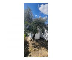 VIÑUELA (VIN090): VILLA CON CASA DE INVITADOS Y PISCINA EN CORTIJO ROMERO,