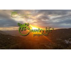 VIÑUELA (VIN090): VILLA CON CASA DE INVITADOS Y PISCINA EN CORTIJO ROMERO,