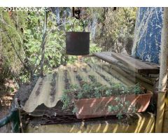 Terreno rustico en Cruilles
