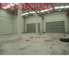 Nave con Puente grúa en Esquiroz