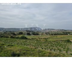 Finca Enara - Proyecto de construcción de Finca con vistas al mar y al campo