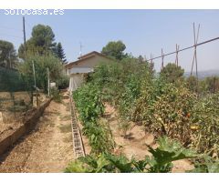 Terreno 683 m2 con huerto y oliveras con vistas a Montserrat