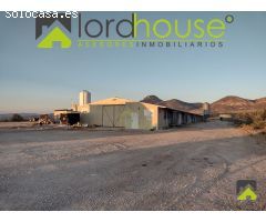 1208. Granja Avícola en producción en pedanía lorquina.