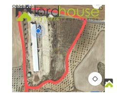 1208. Granja Avícola en producción en pedanía lorquina.