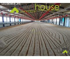 1208. Granja Avícola en producción en pedanía lorquina.