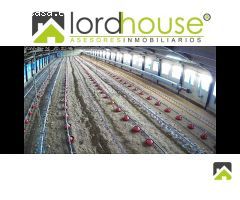 1208. Granja Avícola en producción en pedanía lorquina.