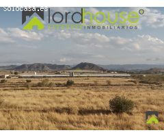 1208. Granja Avícola en producción en pedanía lorquina.