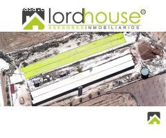 1208. Granja Avícola en producción en pedanía lorquina.