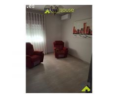 1251. Conjunto de 4 casas, naves de porcino y de novillos.