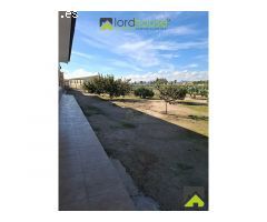 1251. Conjunto de 4 casas, naves de porcino y de novillos.