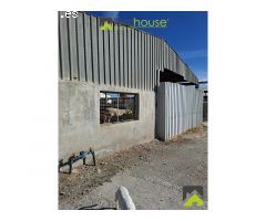 1251. Conjunto de 4 casas, naves de porcino y de novillos.