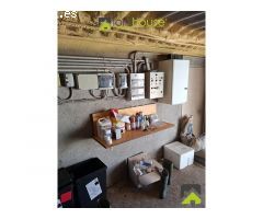1251. Conjunto de 4 casas, naves de porcino y de novillos.