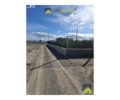 1251. Conjunto de 4 casas, naves de porcino y de novillos.