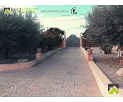1261. ¡Tú oasis familiar en Lorca! 500 m² de lujo con piscina y jardín. 360º.
