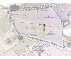 1222. Varias parcelas segregadas en Marchena.
