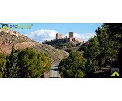 1222. Varias parcelas segregadas en Marchena.