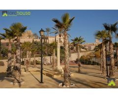 1222. Varias parcelas segregadas en Marchena.