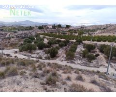Terreno en La Albarda con olivos centenarios