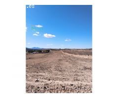 se vende terreno edificable en Pinoso