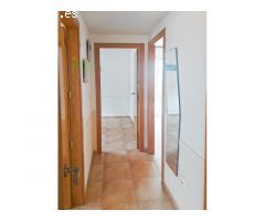 APARTAMENTO JUNTO A LA PINADA DE GUARDAMAR.