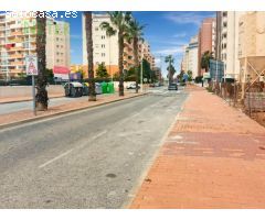 APARTAMENTO JUNTO A LA PINADA DE GUARDAMAR.