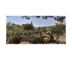 Finca rústica en Artá