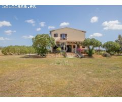 Encantadora Finca en Sencelles: Armonía Rural con Toques Modernos