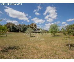 Encantadora Finca en Sencelles: Armonía Rural con Toques Modernos