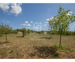 Encantadora Finca en Sencelles: Armonía Rural con Toques Modernos