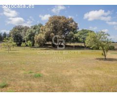 Encantadora Finca en Sencelles: Armonía Rural con Toques Modernos
