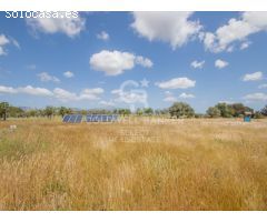 Encantadora Finca en Sencelles: Armonía Rural con Toques Modernos