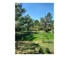 OPORTUNIDAD!! QUIERES VIVIR EN UNA PEQUEÑA FINCA DE MÁS DE 5.000M2 A TAN SOLO 10