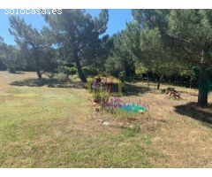 OPORTUNIDAD!! QUIERES VIVIR EN UNA PEQUEÑA FINCA DE MÁS DE 5.000M2 A TAN SOLO 10