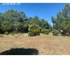 OPORTUNIDAD!! QUIERES VIVIR EN UNA PEQUEÑA FINCA DE MÁS DE 5.000M2 A TAN SOLO 10