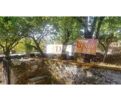 Finca urbana a la venta en Membribe de la Sierra.