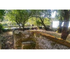Finca urbana a la venta en Membribe de la Sierra.