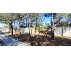 Parcela Urbana de 1000m2 útiles en el pinar de alba, vallada y ubicada a 15km