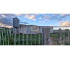 Nave de 750m2 con 2300m2 terreno en San Cristóbal de la cuesta antiguamente