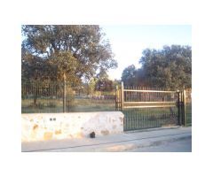 PARCELA URBANA DE 1000M2 EN CUATRO CALZADAS
