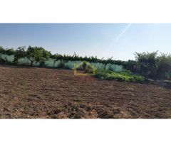 Parcela urbana de 800m2 en San Morales.